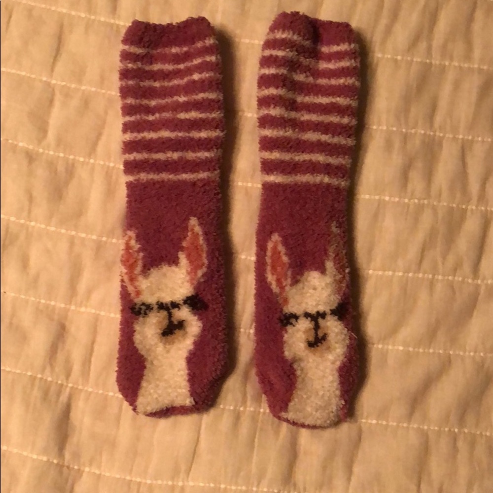Lama socks - Picture 1 of 1